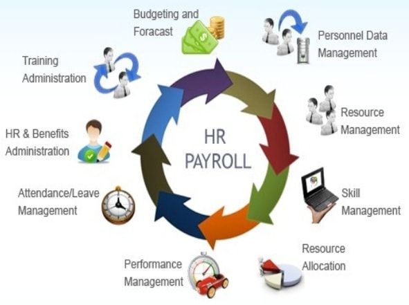 HR & Payroll Software for Textile Industry